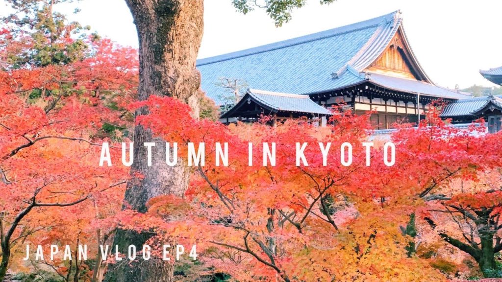 4K 京都旅Japan Travel Vlog:東福寺 通天橋 紅葉 Tofuku-ji Temple|日本賞楓|Beautiful scene of Kyoto autumn leaves🍁EP4