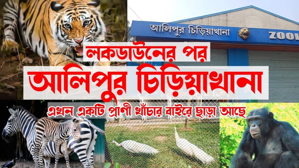 Kolkata alipur zoo | Alipur chiriakhana | আলিপুর চিড়িয়াখানা | Kolkata Chiriyakhana