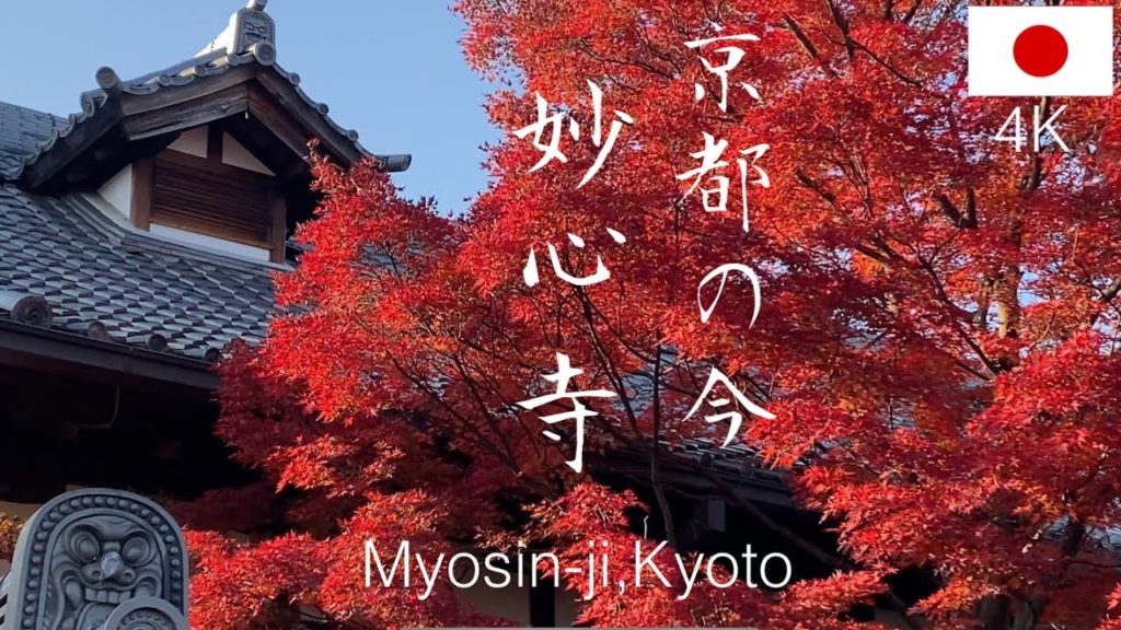 【Autumn】Myoshin-ji Kyoto. 京都 妙心寺