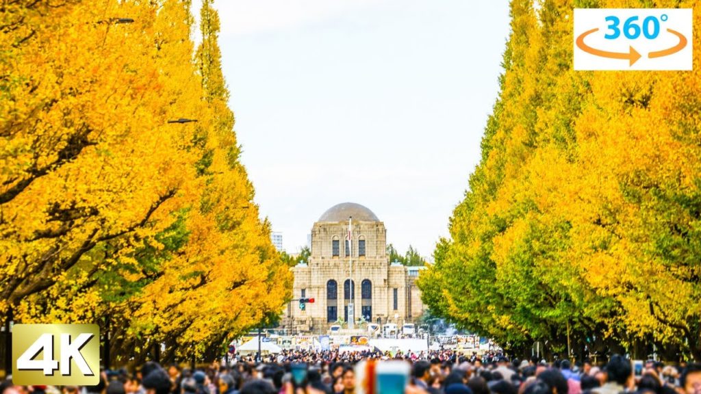 【4K 360°】" Jingu Gaien Ginkgo Avenue " Japan Tokyo Walking Tour