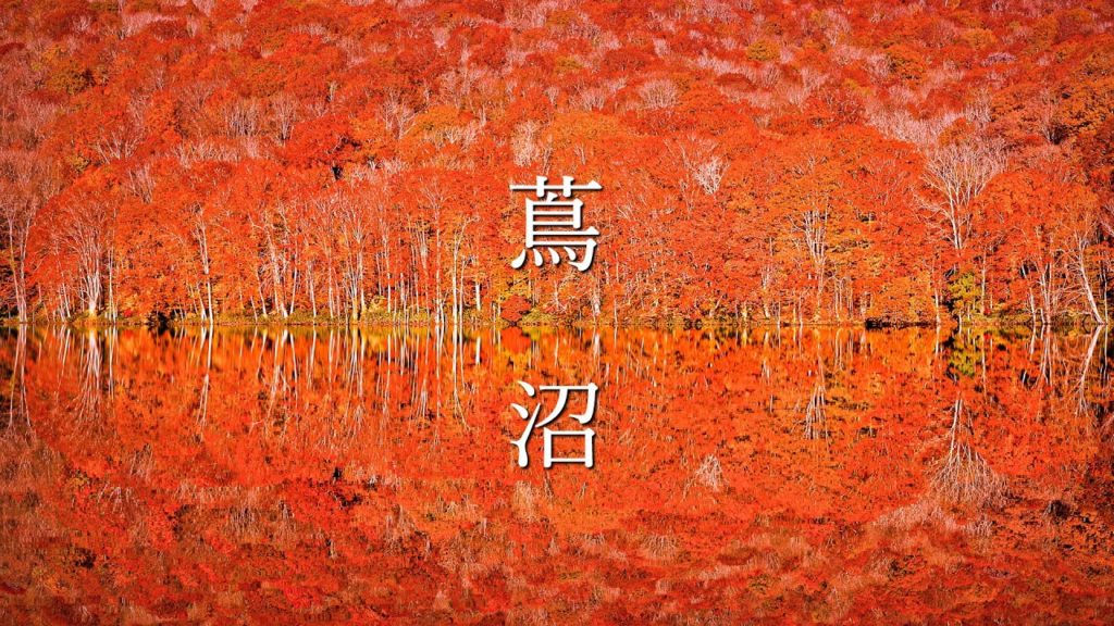 [4K] 紅色の絶景 美しすぎる蔦沼の紅葉 - Perfect Fall Foliage Reflections at Tsuta Numa Lake - (shot on BMPCC6K)