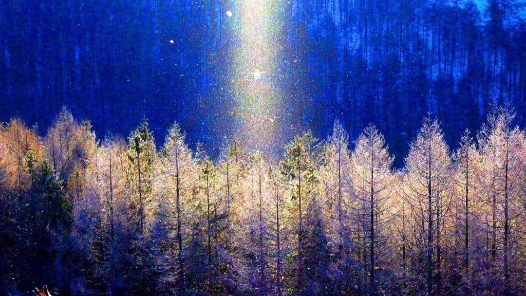 4K映像「ダイヤモンドダスト 厳冬の霧ヶ峰高原」クリスマスバージョン 希望の光が見えますように Silent Night 八ヶ岳 絶景自然癒し風景 Japan Winter Diamond dust 4K映像「ダイヤモンドダスト 厳冬の霧ヶ峰高原」クリスマスバージョン 希望の光が見えますように Silent Night 八ヶ岳 絶景自然癒し風景 Japan Winter Diamond dust