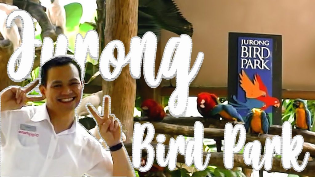 Jurong Park | Jurong Bird Park Singapore | Bird Watching | Birds Video