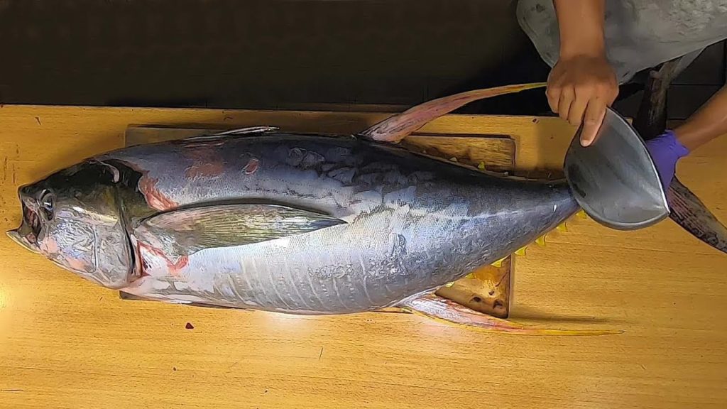 Taiwanese Street Food - TUNA CUTTING SHOW & SUSHI / SASHIMI MEAL