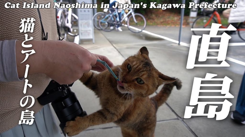 【お出かけスポット】香川県直島 猫島女子３人旅 直島銭湯･地中美術館  Nekoshima Girls' trip to Naoshima, Kagawa Prefecture