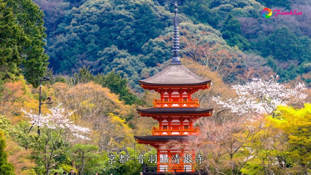 日本賞櫻 Cherry Blossom Festival in Japan【4K UHD】
