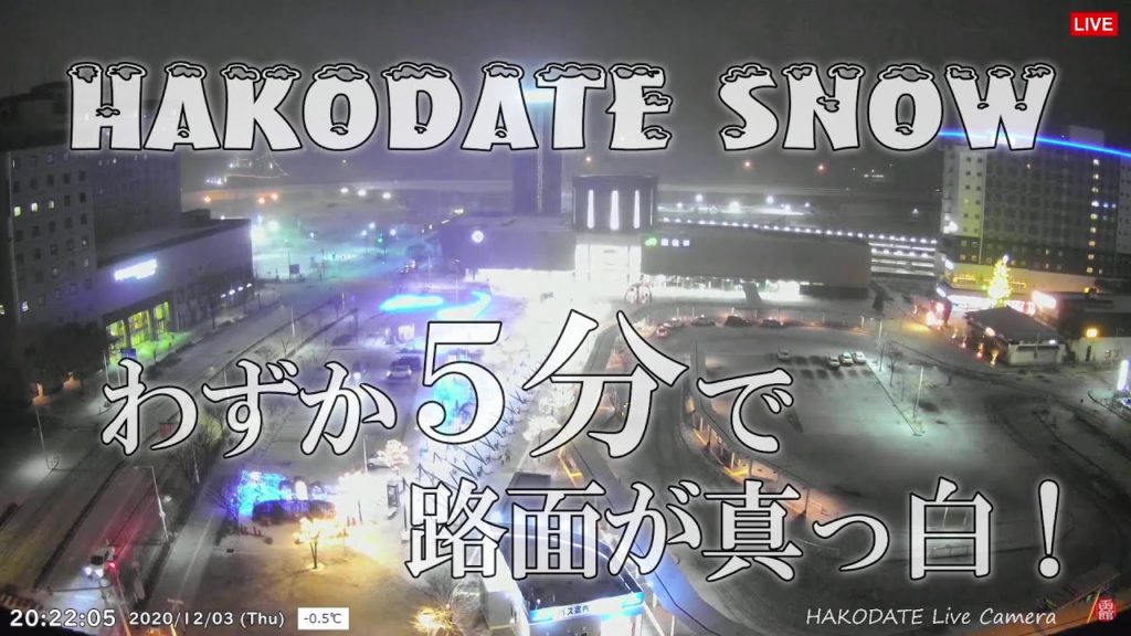 【Clips】５分で路面を真っ白にする函館の雪 (2020/12/3) Hakodate where snow accumulates in 5 minutes.