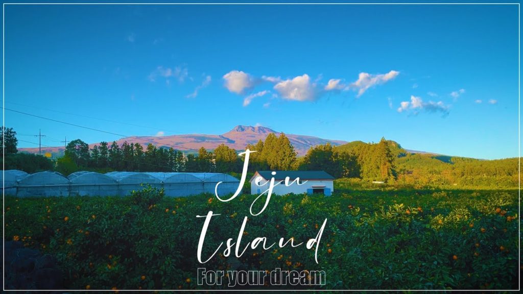 [시네마틱] 지브리 감성으로 담은 제주도 감성 영상.  / 영상미, 힐링, 감성 / Cinematic JEJU ISLAND in South Korea