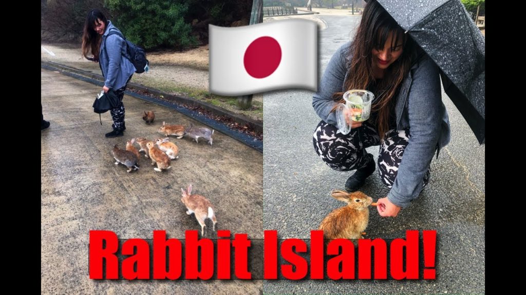 Japan VLOG: Exploring Rabbit Island (Bunny Island) & Poison Gas Island Ōkunoshima Japan VLOG: Exploring Rabbit Island (Bunny Island) & Poison Gas Island Ōkunoshima