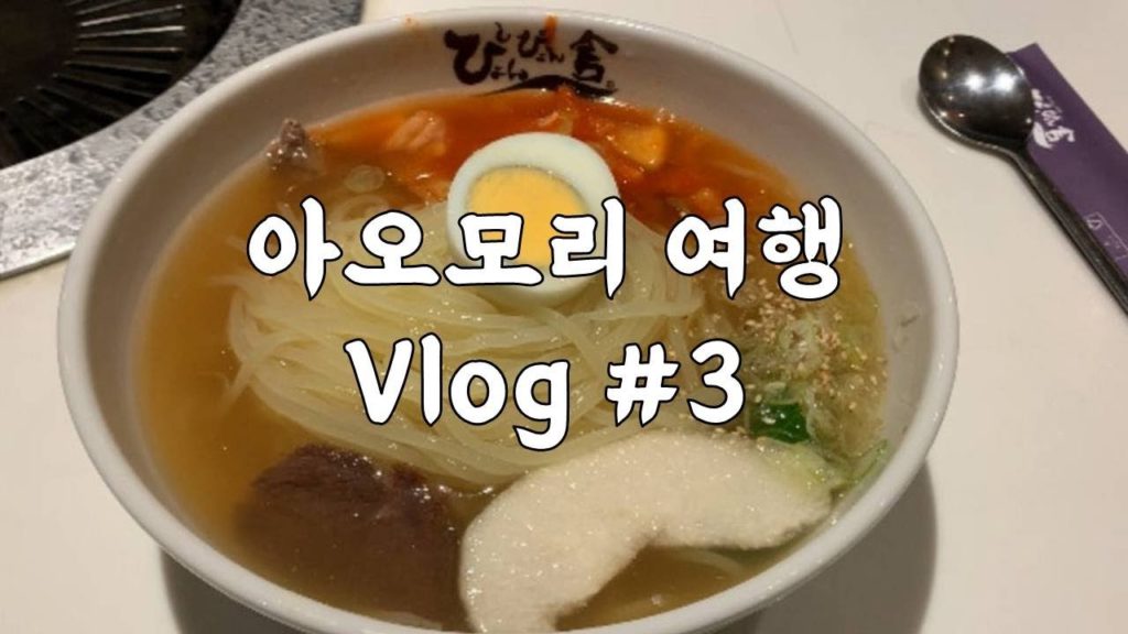 일본 여행 브이로그 ㅣ 아오모리 3편 (하치노헤, 모리오카)