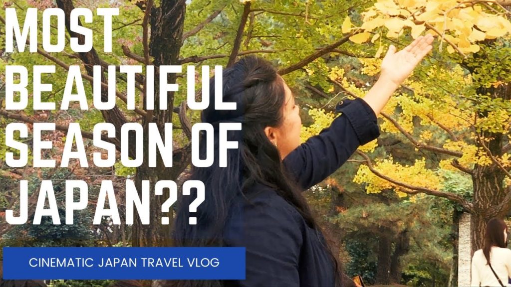 Japan Travel Vlog: An Ode to Autumn (昭和記念公園) | Indian in Japan | 4K Japan Travel Vlog: An Ode to Autumn (昭和記念公園) | Indian in Japan | 4K