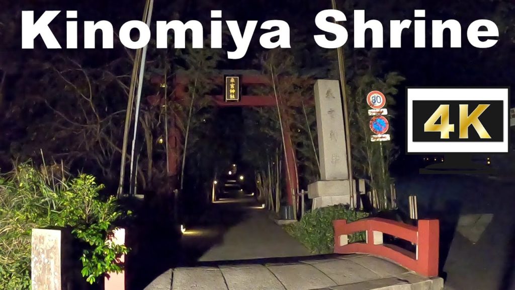 Night walk in a bamboo alley of Kinomiya Shrine (Atami) Night walk in a bamboo alley of Kinomiya Shrine (Atami)