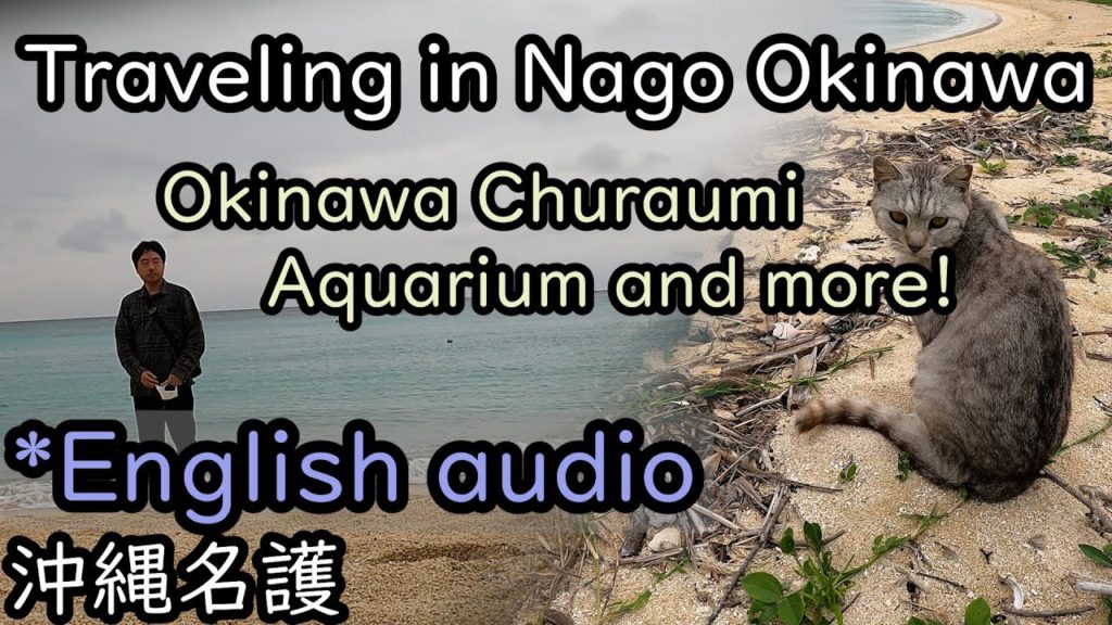 Traveling in Nago Okinawa #4k : Okinawa Churaumi Aquarium and more! 沖縄名護
