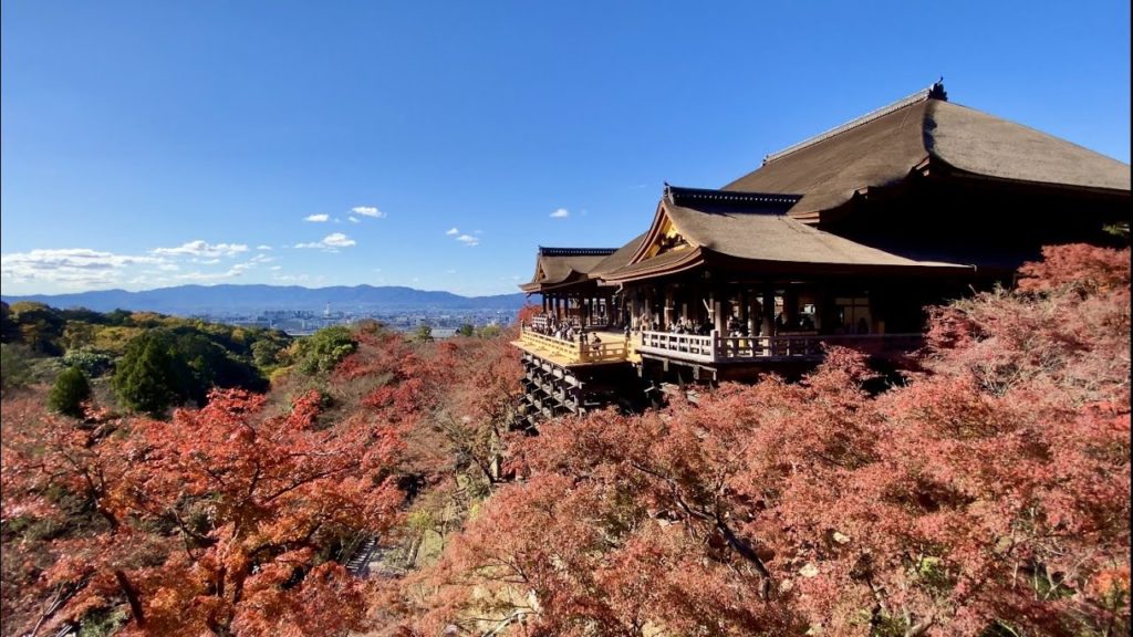 【4K Walk】Autumn leaves of Kiyomizu Temple(清水寺/二年坂の紅葉) in Kyoto(京都散歩)【2020】 【4K Walk】Autumn leaves of Kiyomizu Temple(清水寺/二年坂の紅葉) in Kyoto(京都散歩)【2020】