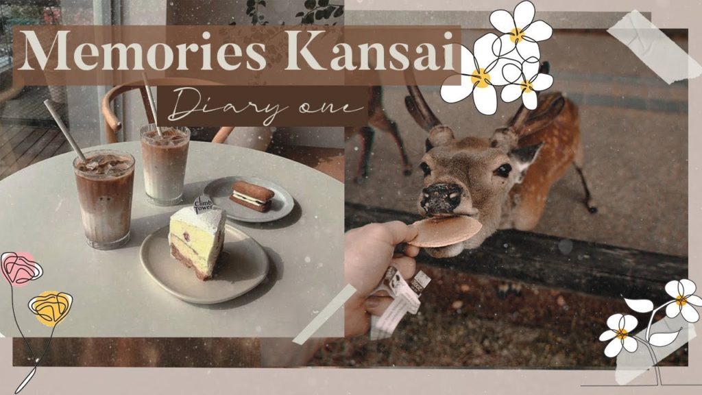 π ππππππΎππ ππ» π¦πΆπππΆπΎ π ππππππΎππ ππ» π¦πΆπππΆπΎ