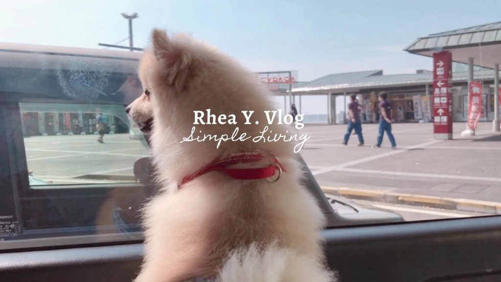 A day in my life in Shizuoka Japan, Japanese house tour, Summer Vacation