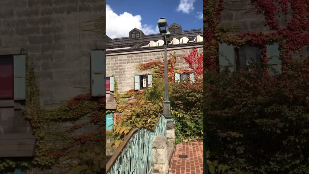 Otaru -Hokkaido-Japan #Shorts