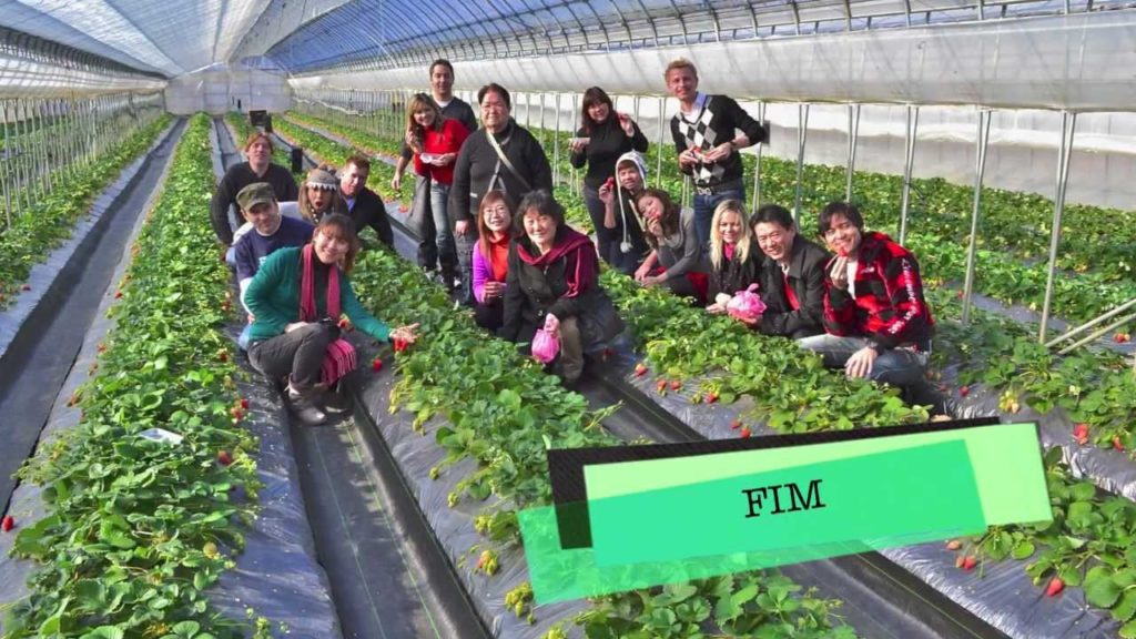 NAGANO 2012 - ITIGO GARI - NAOSHI