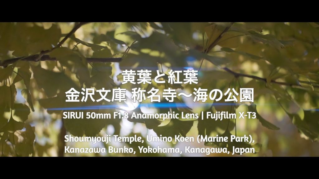 【Cinematic Traveller 4K】Shomyoji Temple, Kanazawa Bunko | SIRUI 50mm F1.8 Anamorphic Lens