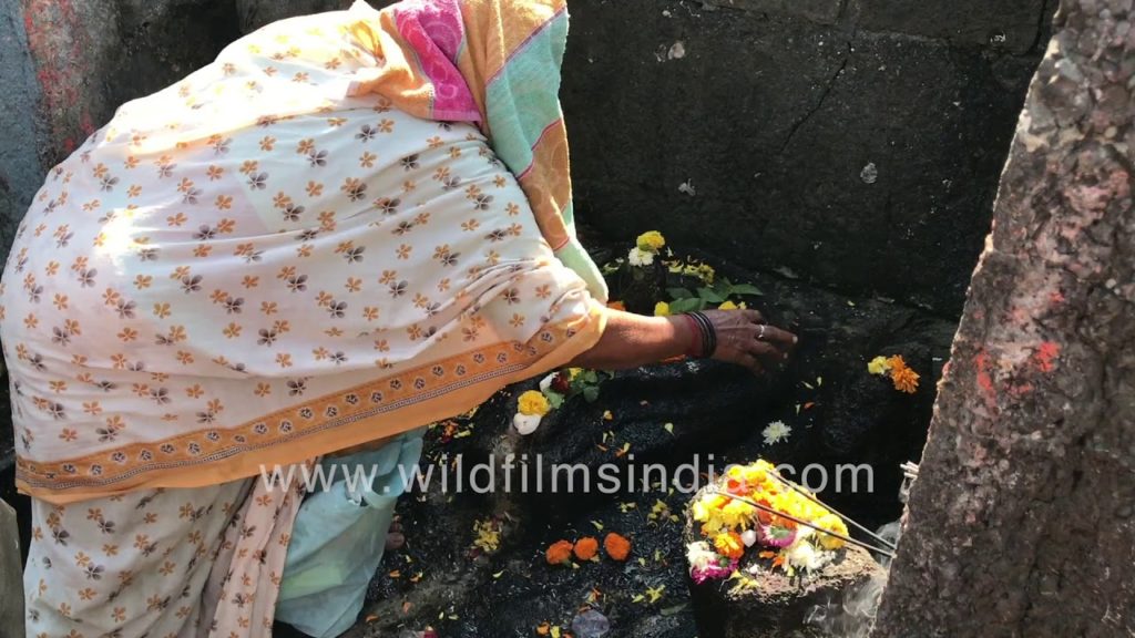 Barefoot devotees relish making offerings to gods after lockdown - Ambernath Shiv Mandir
