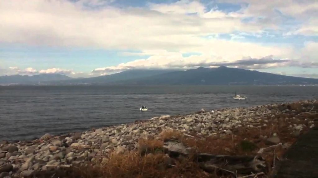 沼津 大瀬神社からの富士山