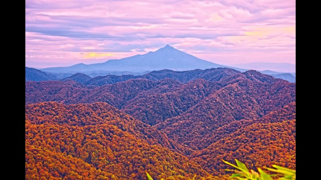 JG☆☆☆8K HDR 秋田 二ッ森 世界遺産白神の西側 Akita World Heritage Shirakami,Futatusmori Beech Forest in Autumn