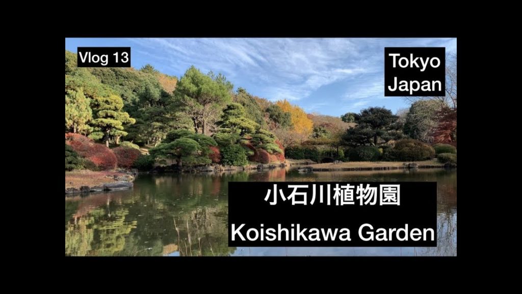 Non-Touristy Japan - Tokyo Japanese Garden - Koishikawa Shokubutsuen - Vlog 13