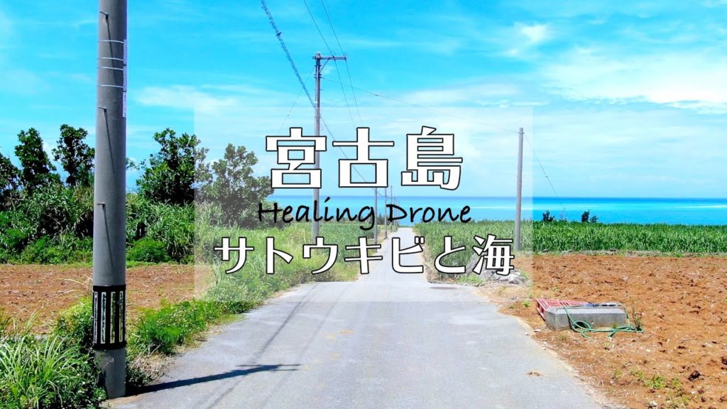 【ドローン空撮】宮古島 サトウキビと海  Healing Drone Okinawa