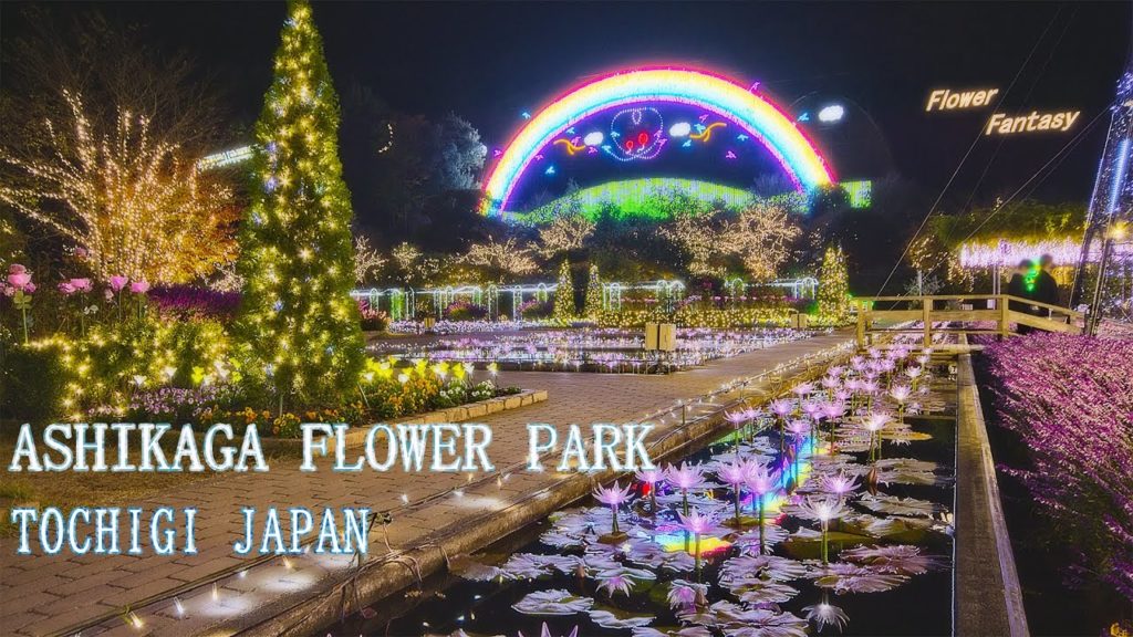 日本三大イルミネーション あしかがフラワーパーク 光の花の庭 2020 Ashikaga Flower Park Christmas Lights | Tochigi Japan | BMPCC6K