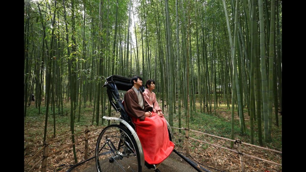 JG☆☆☆☆8K HDR 京都 嵐山(史跡) 紅葉と竹林の小径をゆっくり味わう Kyoto,Arashiyama and Bamboo Tunnel in Autumn(Historic Site)