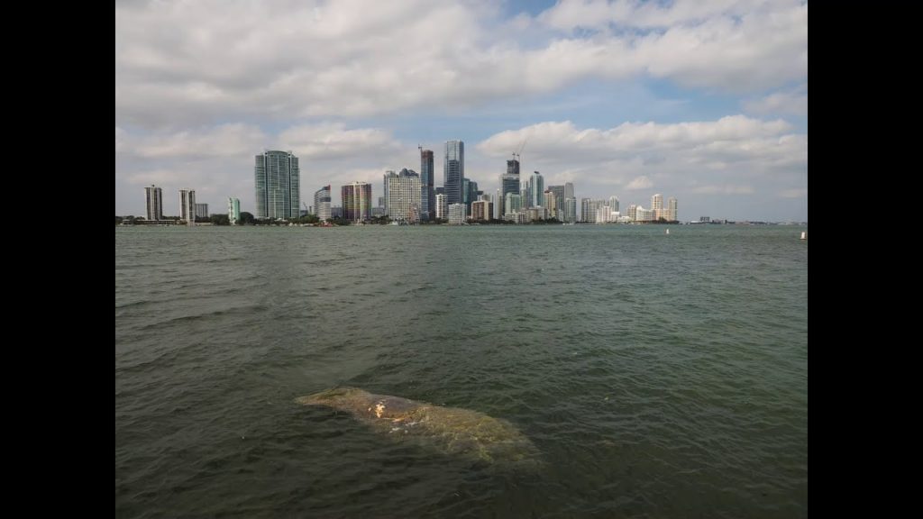 Best of 2017 photos by David Alexander Arnavat