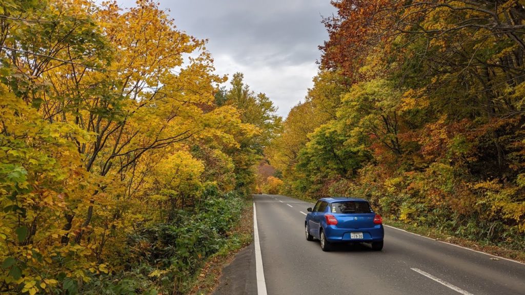 【4K Aomori #FimiPalm】Driving through fall foliage tunnel 【4K Aomori #FimiPalm】Driving through fall foliage tunnel