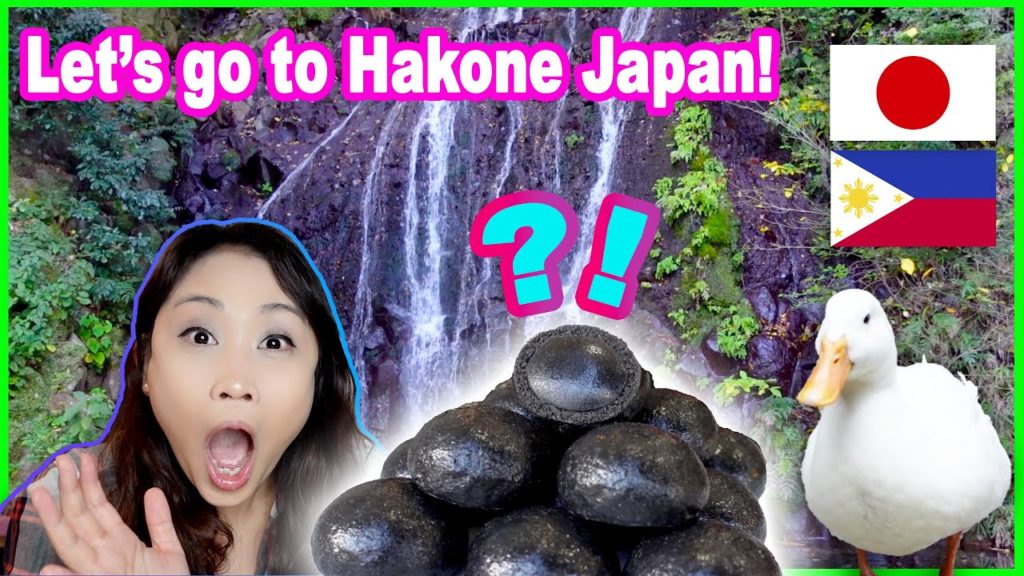 Day Trip: Hakone Japan Travel Tips and Guide | 日帰り旅行：箱根旅行ガイド
