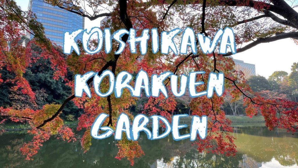 [Vlog] Koishikawa Korakuen Garden with Autumn Leaves | Tokyo Sightseeing, Japan