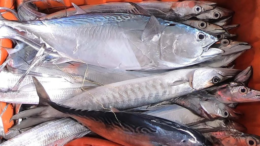 Fish cutting skills - How to cutting White ribbon fish