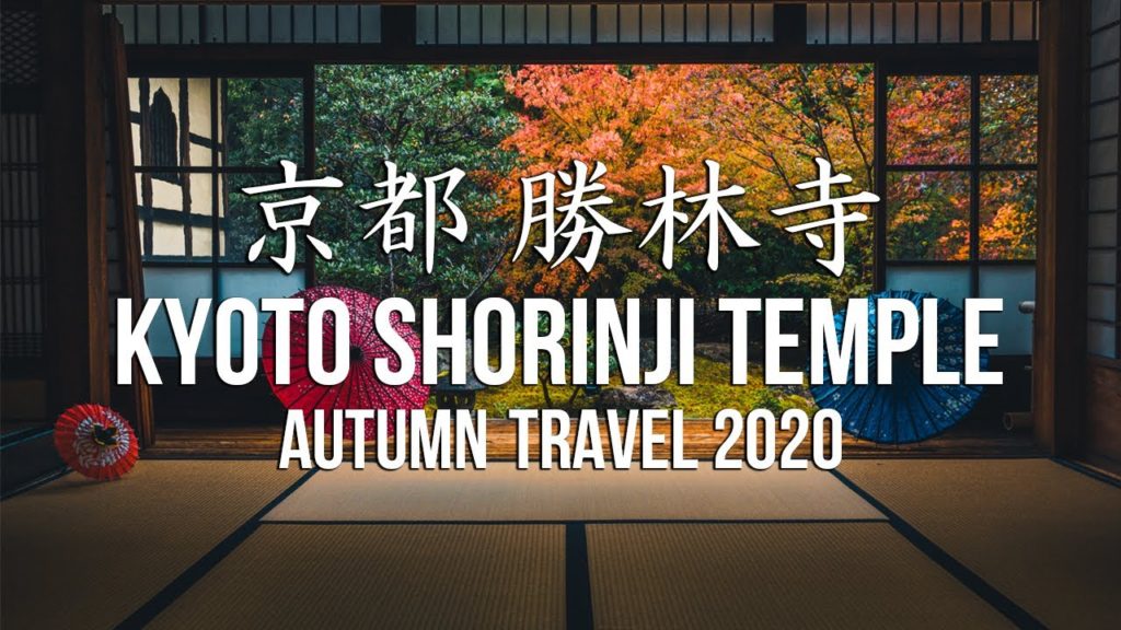 【DJI  POCKET2】京都 勝林寺 ~紅葉と和傘の風情を感じる景色を見にぶらり旅~ | JAPAN KYOTO AUTUMN TRAVEL 2020