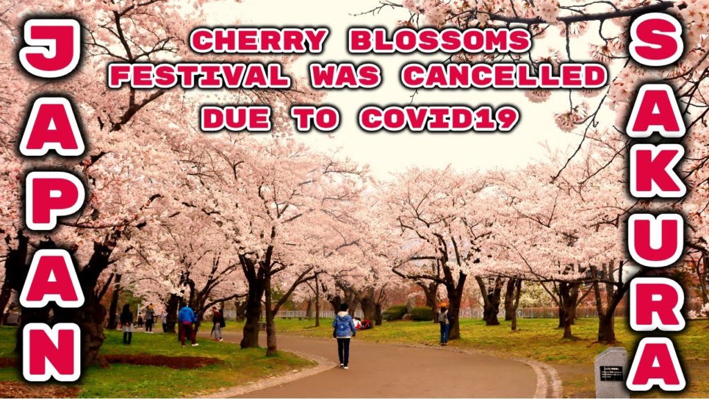 JAPAN CHERRY BLOSSOMS 2020 (SAKURA) WAS CANCELLED DUE TO COVID19|| JAPAN TRAVEL VLOG