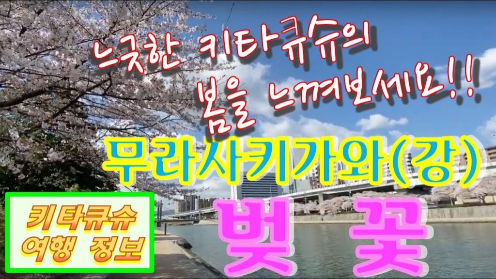 【무라사키가와(강) 벚꽃・기타큐슈 여행】느긋하게 여행하기・많은 벚꽃・기타큐슈의 봄【紫川の桜・北九州観光】ゆったりした旅行・たくさんの桜・北九州の春 【무라사키가와(강) 벚꽃・기타큐슈 여행】느긋하게 여행하기・많은 벚꽃・기타큐슈의 봄【紫川の桜・北九州観光】ゆったりした旅行・たくさんの桜・北九州の春