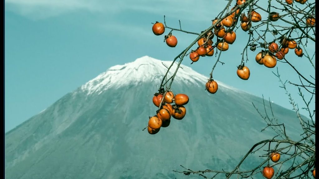 富士山 秋 Autumn of Mt. Fuji 4K 富士 FUJIFILM X-T4 Travel to Japan 日本旅游 日本自駕一日遊。Driving in Japan 山中湖 農村 富士山 秋 Autumn of Mt. Fuji 4K 富士 FUJIFILM X-T4 Travel to Japan 日本旅游 日本自駕一日遊。Driving in Japan 山中湖 農村