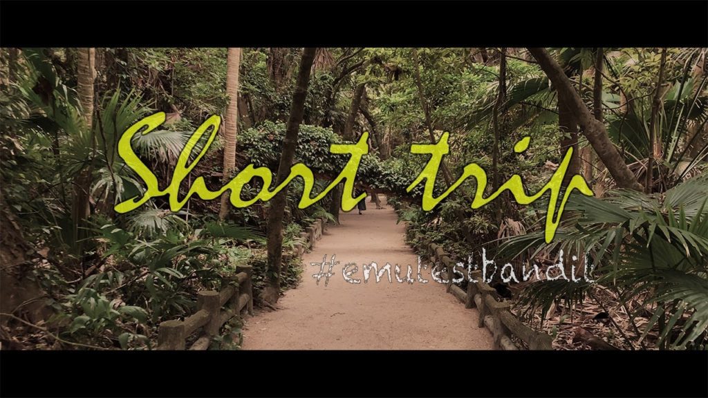 🌴[Short trip]⛺️