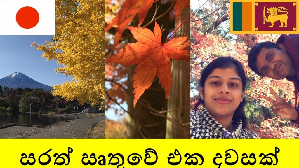 The Day in Autumn-Japan 2020 – Vlog 10-🍁 ජපානයේ සරත් සෘතුවේ එක දවසක්🍁 Fall colors in countryside The Day in Autumn-Japan 2020 - Vlog 10-🍁 ජපානයේ සරත් සෘතුවේ එක දවසක්🍁 Fall colors in countryside