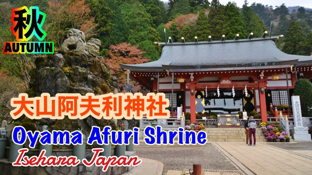 大山阿夫利神社 伊勢原市神奈川 – 秋 / Oyama Afuri Shrine Isehara Kanagawa japan – Autumn 大山阿夫利神社 伊勢原市神奈川 - 秋 / Oyama Afuri Shrine Isehara Kanagawa japan - Autumn