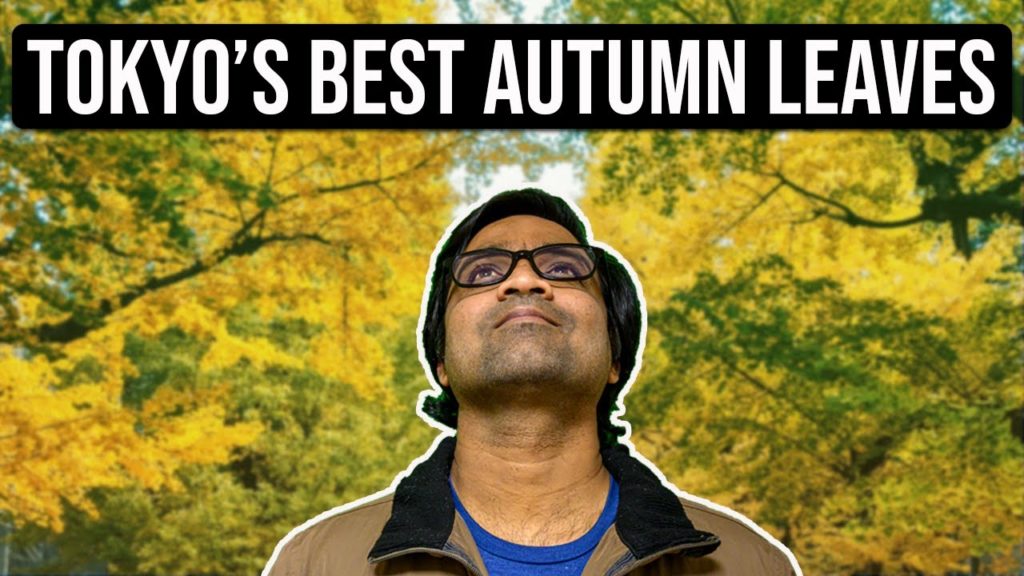 Travel Vlog – Indian enjoys Tokyo Autumn Season – Japan Trip Vlog | Indian in Japan | Japan Trip Travel Vlog - Indian enjoys Tokyo Autumn Season - Japan Trip Vlog | Indian in Japan | Japan Trip