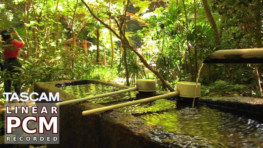 Tokyo Summer Walk πΆπ½ Todoroki Valley Tokyo Summer Walk πΆπ½ Todoroki Valley