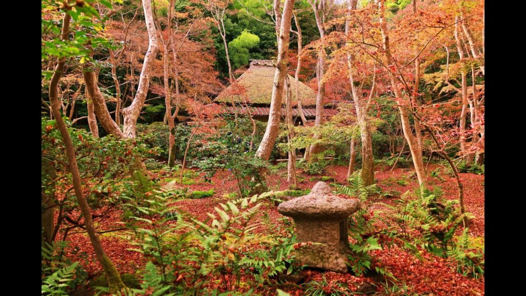 JG☆☆8K HDR 京都 祇王寺の紅葉 平清盛ゆかりの寺をゆっくり味わう Kyoto, Gioji in Autumn, Heike(Kiyomori Taira) Connection
