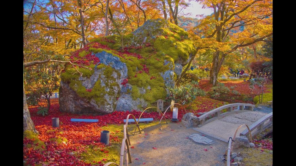 JG☆☆☆8K HDR 京都 宝厳院の紅葉  獅子吼の庭をゆっくり味わう Kyoto, Hogonin in Autumn, Lion's Roar Garden Strolling
