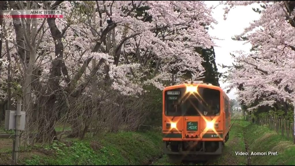 🇯🇵 Tsugaru Railway  Surviving the Coronavirus Pandemic - Japan Railway Journal   NHK