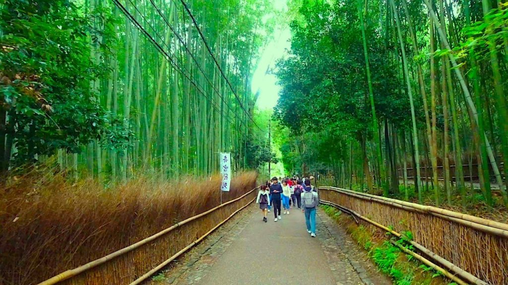 Kyoto Walk – Explore around Arashiyama, Arashiyama Bamboo Forest (嵐山 – 竹林) – 4K Kyoto Walk - Explore around Arashiyama, Arashiyama Bamboo Forest (嵐山 - 竹林) - 4K