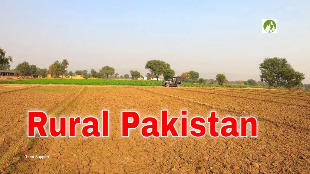 How to eat Sugarcane properly in Pakistan Village Life