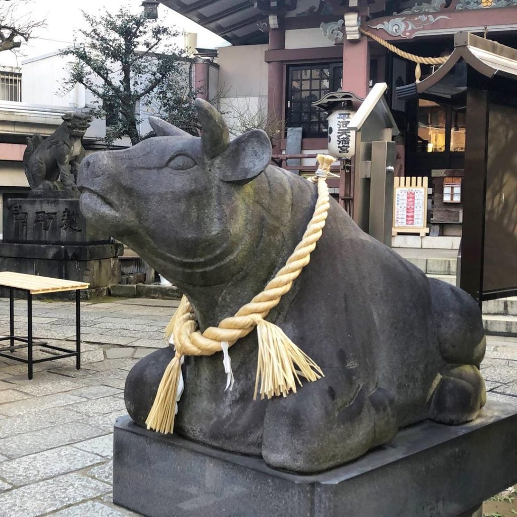 Feb. 12 marks the beginning of the Year of the Ox. The second animal of the Chin...